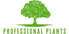 Professional Plants LLC